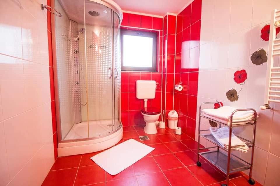 Pensiunea Perla Neamtului Minastirea Neamt Extérieur photo
