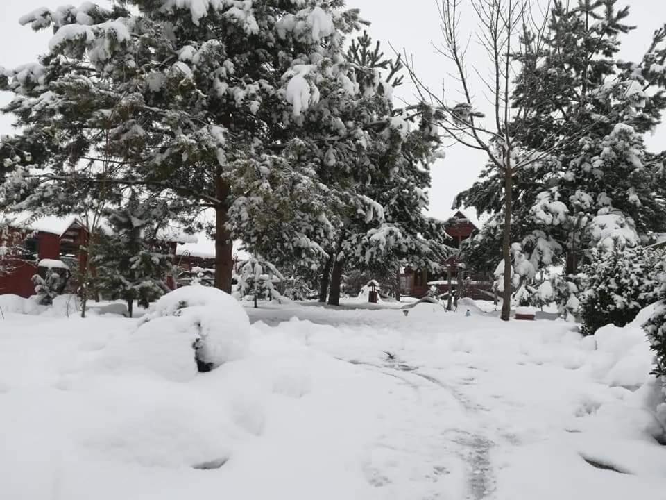 Pensiunea Perla Neamtului Minastirea Neamt Extérieur photo